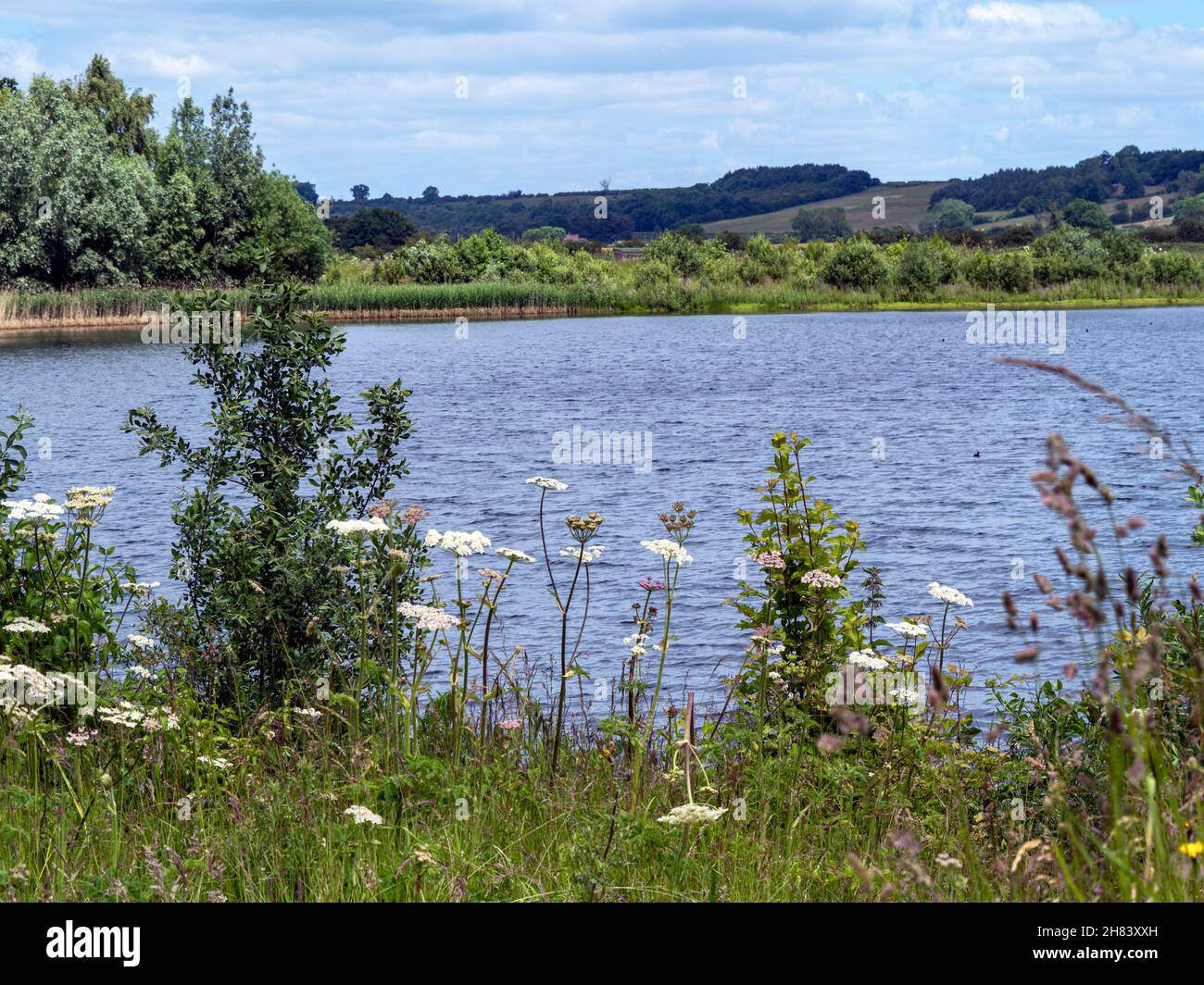 Lake at North Cave Wetlands, East Yorkshire, England Stockfoto