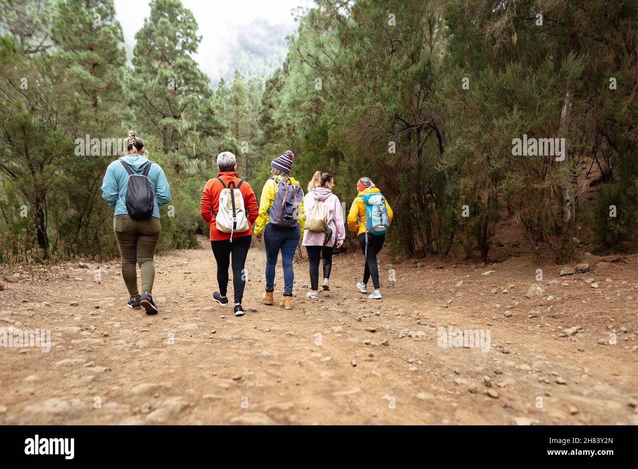 Gruppe von Frauen, die Spaß beim Wandern in nebligen Wald - Abenteuer und Reisen Menschen Konzept Stockfoto