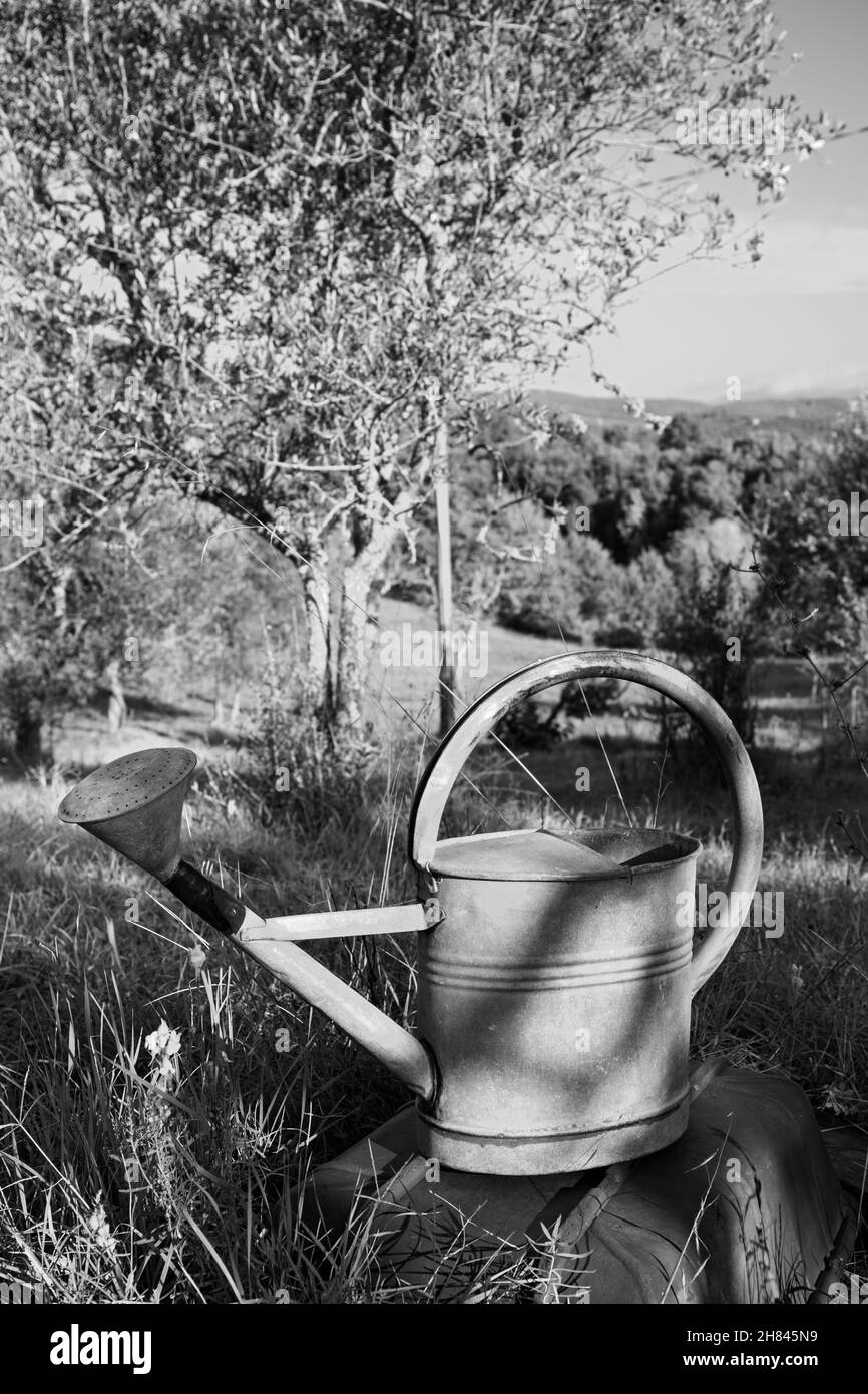 Europa, Italien, Toskana, in der Nähe von San Michele, Bio-Bauernhof Poderaccio mit rustikaler Gießkannen aus Metall Stockfoto