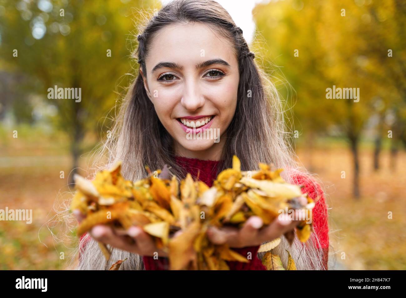 Glückliches lächelndes Mädchen, das gelbe Blätter in den Händen hält. Herbstkonzept. Porträt einer jungen Frau auf dem Hintergrund des Parks. Stockfoto