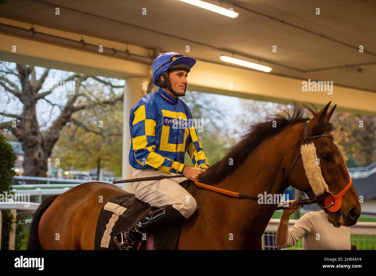 Ascot, Bergen, Großbritannien. 19th. November 2021. Dauer mit Jockey Marc Goldstein geht es auf die Rackstrecke zum Handicap-Hürdenrennen der Royal Ascot Racing Club-Anfänger (Klasse 4). Quelle: Maureen McLean/Alamy Stockfoto