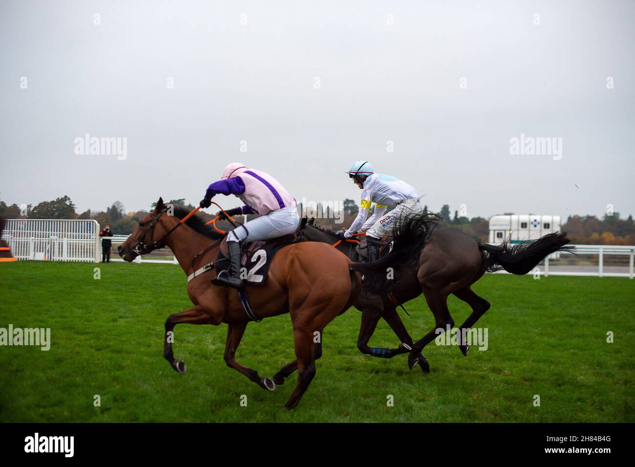 Ascot, Bergen, Großbritannien. 19th. November 2021. Der Jockey David Pritchard auf dem Pferd Getalead (rosa und violette Seide) räumt die letzte Hürde beim Handicap Hurdle Race (Klasse 4) des Royal Ascot Racing Club-Neulingen (GBB-Rennen) und gewinnt das Rennen. Getalead Eigentümer K Pickard. Trainerin Claire Harris, Umberleigh. Züchter L Byrne. Sponsor Pickard Homes Solutions Ltd. Kredit: Maureen McLean/Alamy Stockfoto