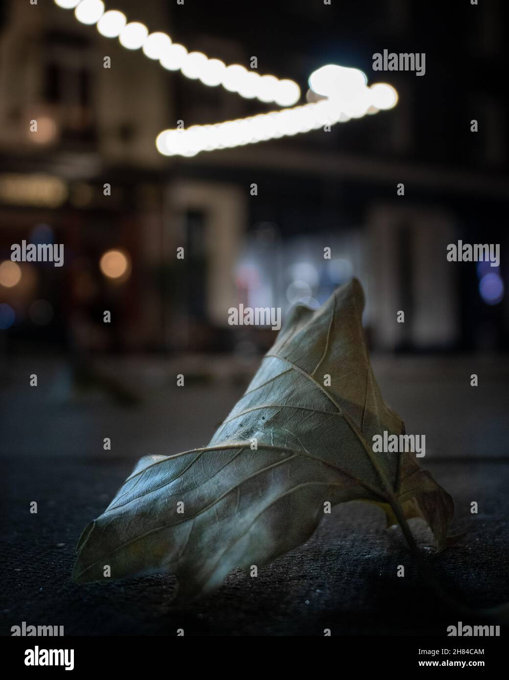 Aufnahme einer flachen Tiefenschärfe, die nachts in London mit Bokeh-Lichtkugeln im Hintergrund anführte Stockfoto