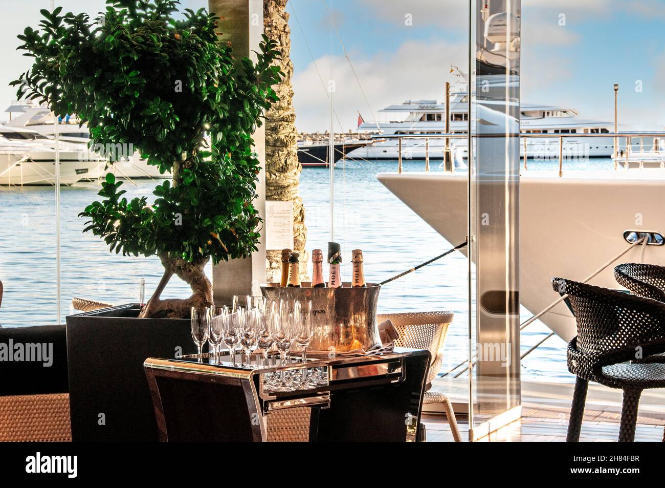 Luxuriöse Champagner-Bar im Marina Resort Puerto Portals mit Superyachten, die im Hintergrund festgemacht sind, mit Champagner-Flaschen und Gläsern, die für die wohlhabende Kundschaft Portals Nous Mallorca Spanien bereit sind Stockfoto