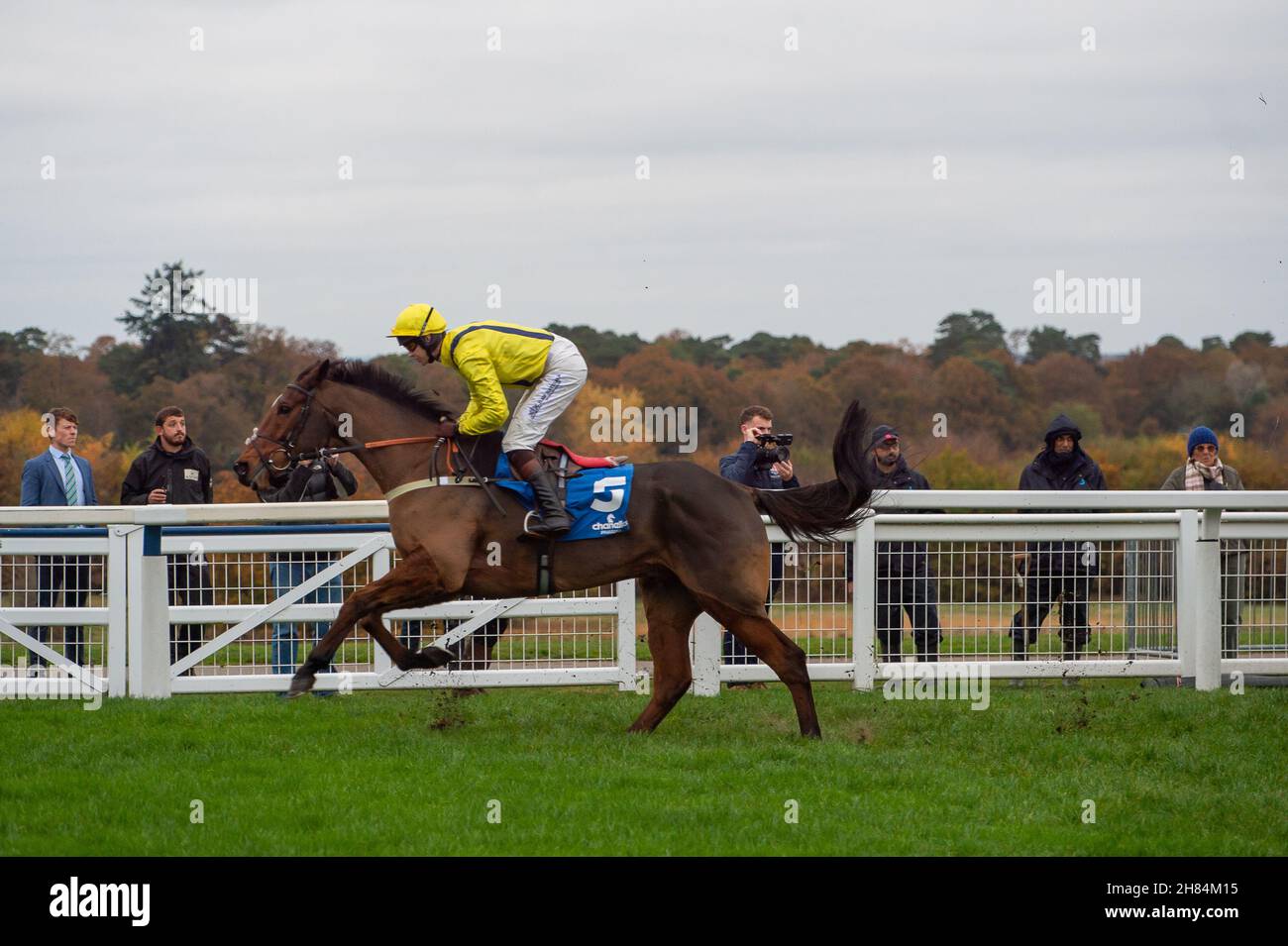 Ascot, Bergen, Großbritannien. 20th. November 2021. Horse LostInTranslation unter Brendan Powell macht einen Sprung auf der ersten Rennstrecke des Chanelle Pharma 1965 Steeple Chase (Klasse 1) (Klasse 2) auf der Ascot Racecourse, bevor es zum Sieg des Rennens geht. Besitzer Taylor & O'Dwyer. Trainer Colin Tizzard, Sherborne. Züchter ARMM Kavanagh. Sponsern Sie Coral Racing. Quelle: Maureen McLean/Alamy Stockfoto