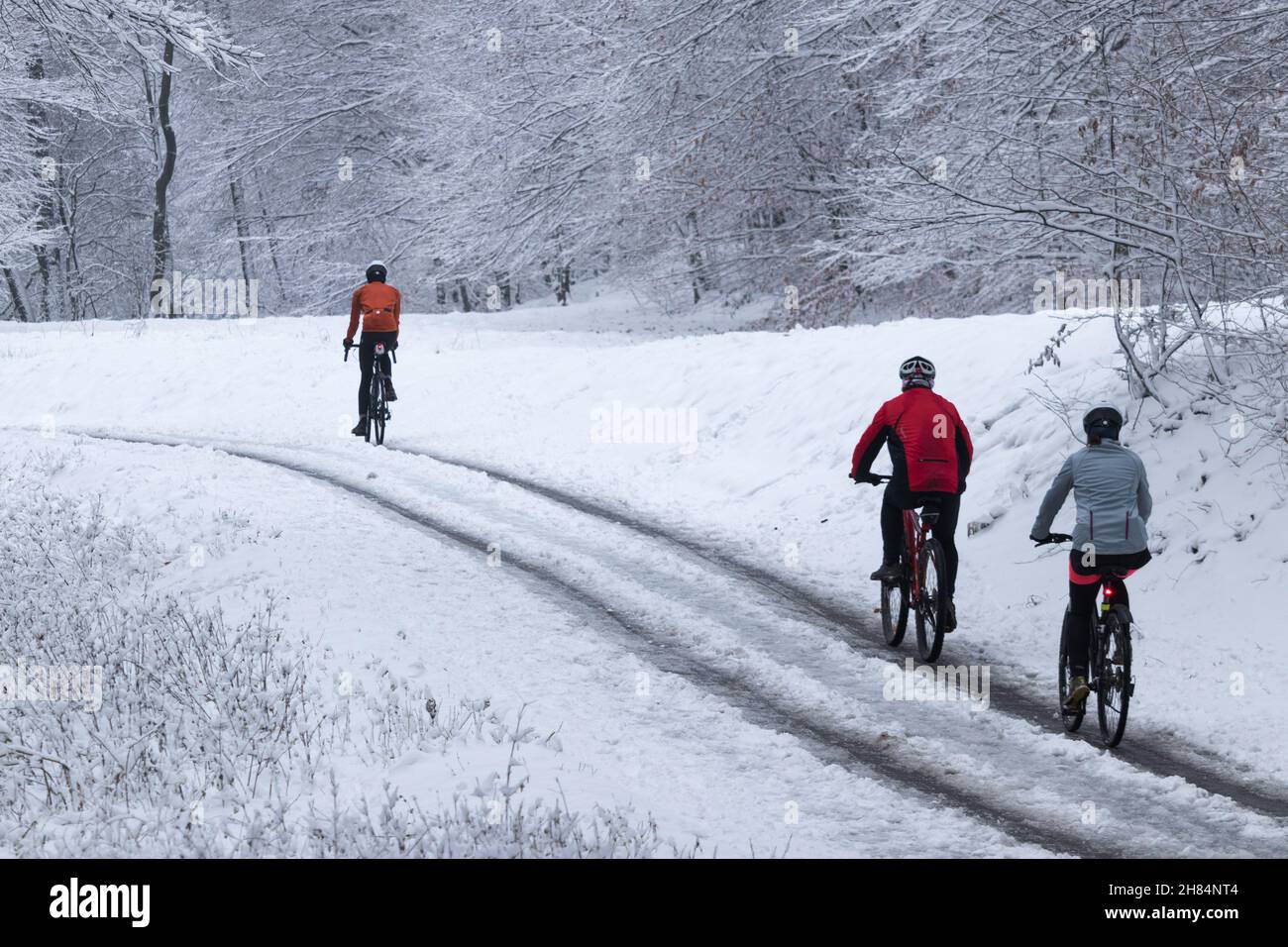 Gruppe von Bikern, die im Winter im verschneiten Wald radeln Stockfoto