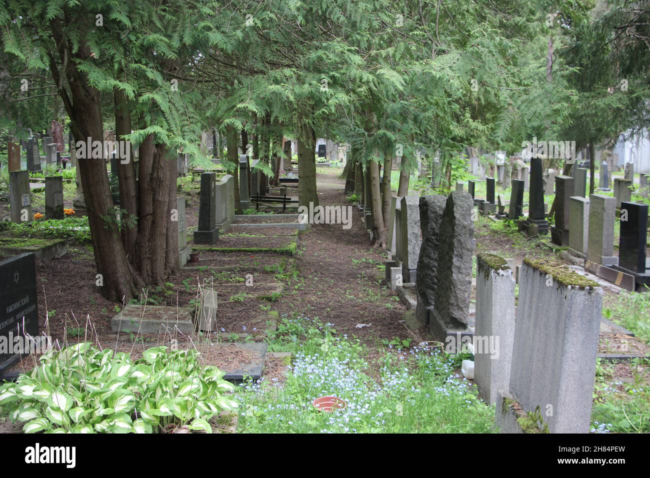 Alte Grabsteine auf einem Friedhof. Leben und Tod Konzept. Stockfoto