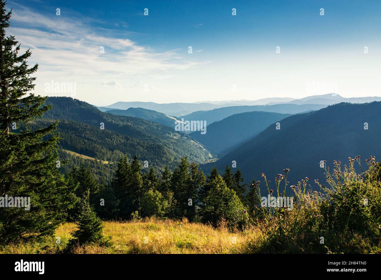 Die Hügel des Schwarzwaldes verschwinden abends im Dunst. Stockfoto