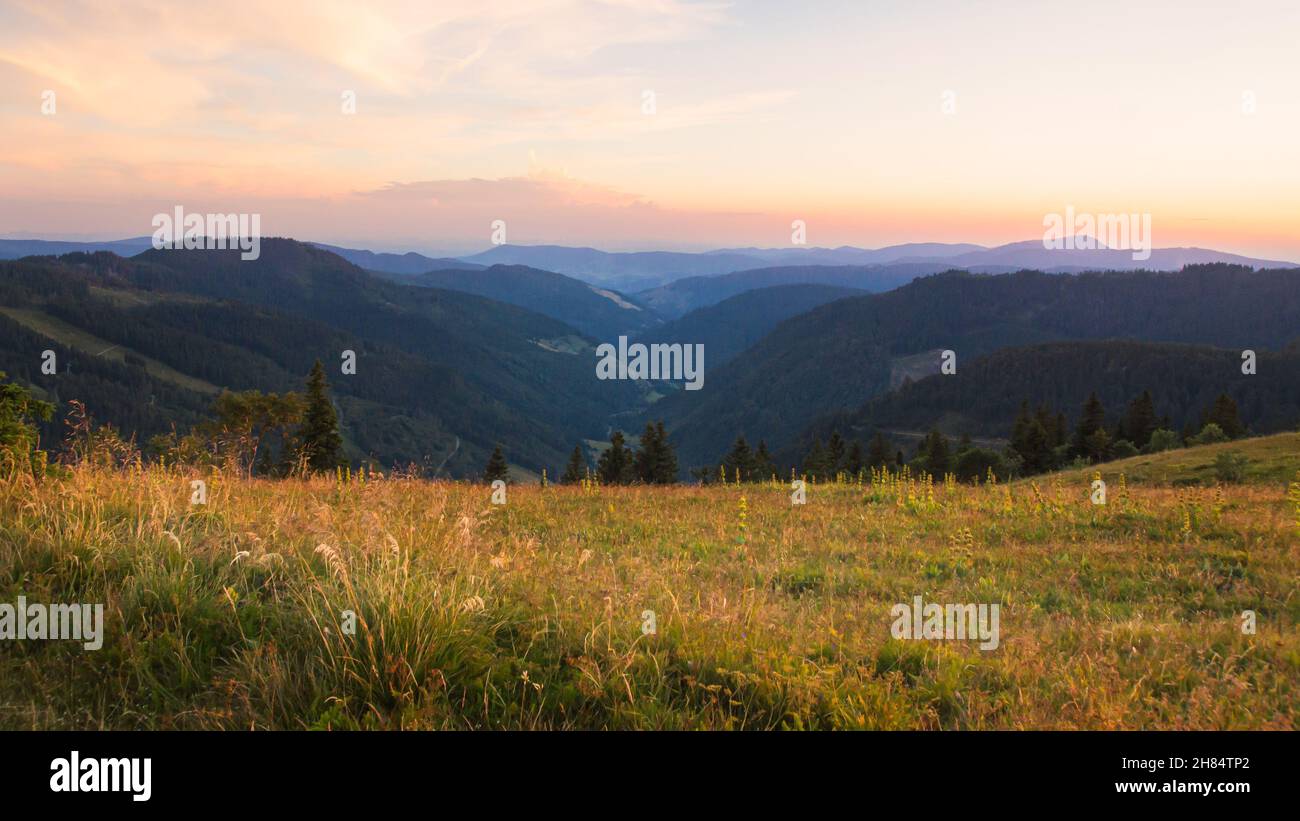 Die Hügel des Schwarzwaldes verschwinden abends im Dunst. Stockfoto