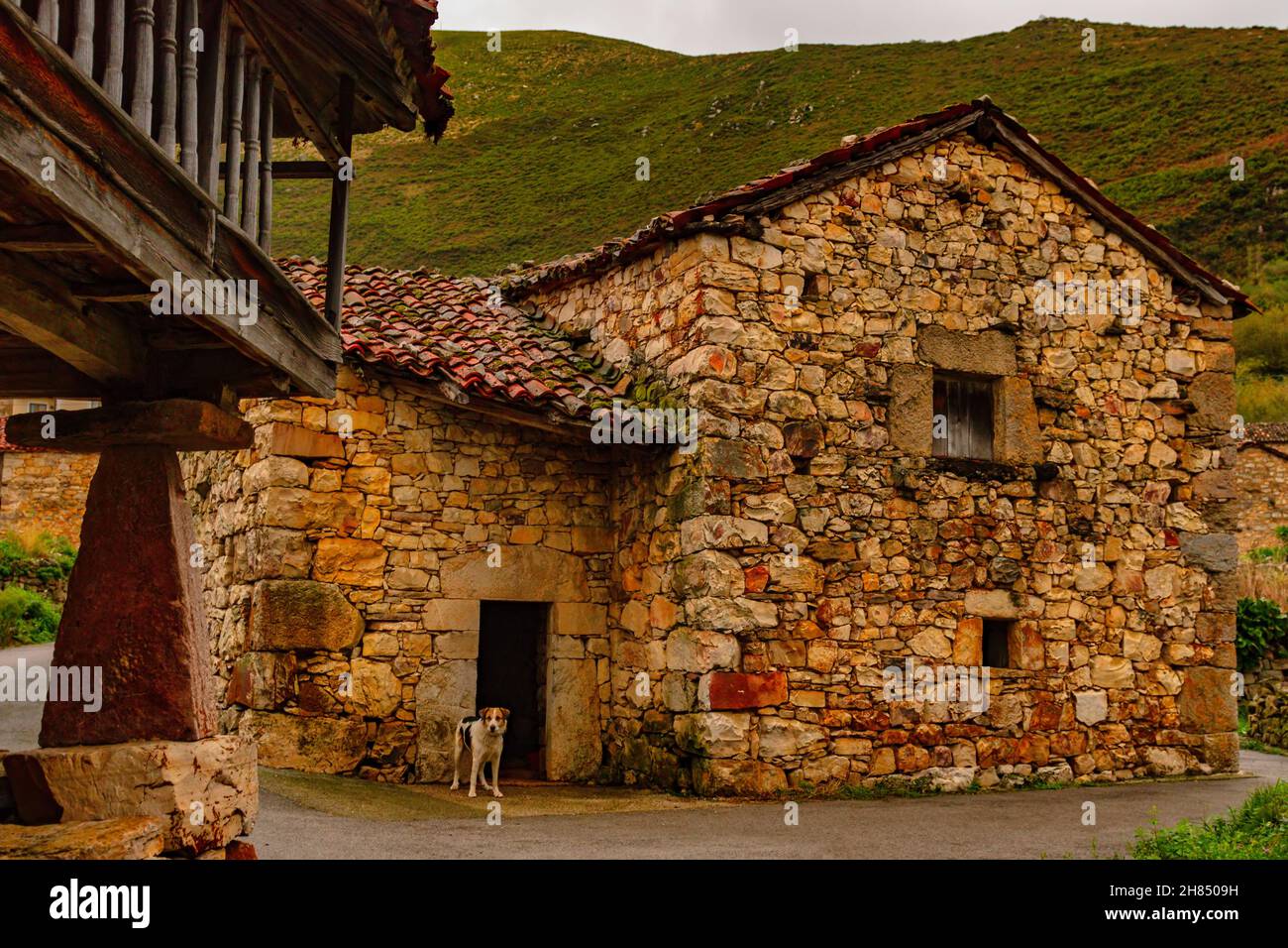 Ländliche Landschaften im Landesinneren von Asturien Stockfoto