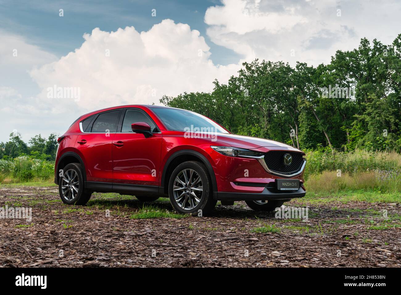 Ukraine - 4. Juli 2021: Neuer roter Mazda CX-5 auf Forststraße Stockfoto