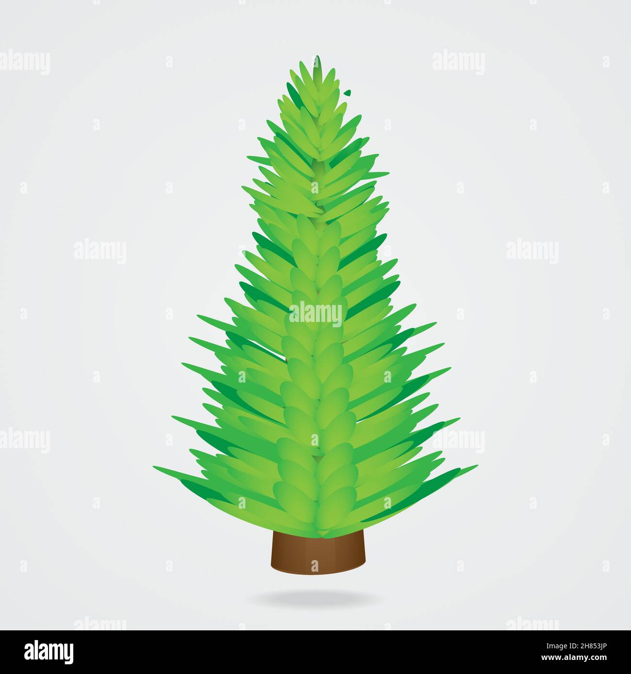 Äste oder Blätter. Weihnachtsbaum, Kiefer, Winter. Stock Vektor