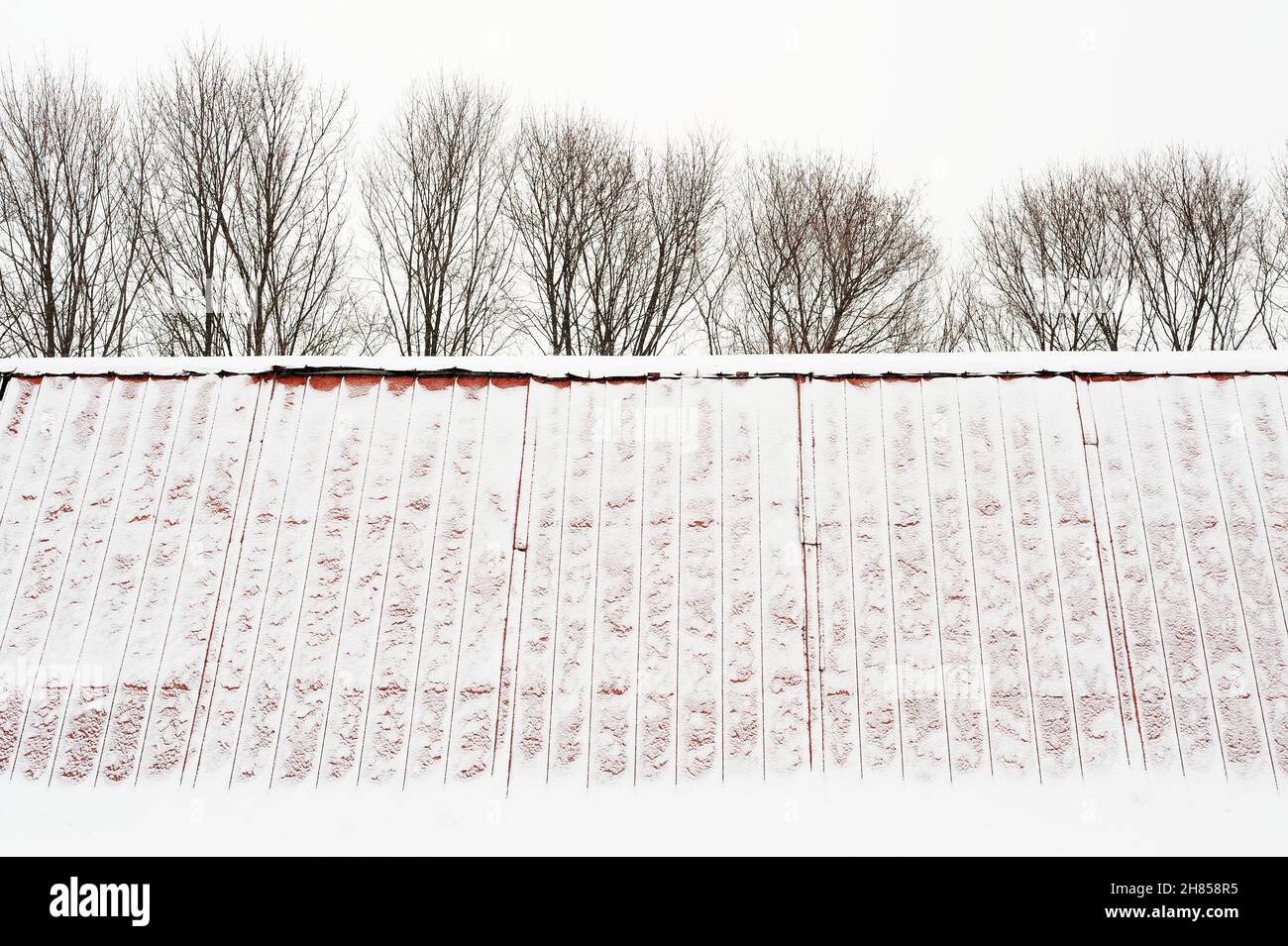 Schneebedecktes Giebeldach und blattlose Bäume im Winter Stockfoto
