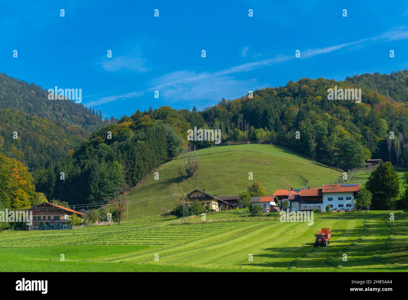 Landwirtschaftliche Landschaft mit Weiden und Wiesen im voralpinen Hochplateau des Chiemgaus, Aschau, Oberbayern, Süddeutschland Stockfoto