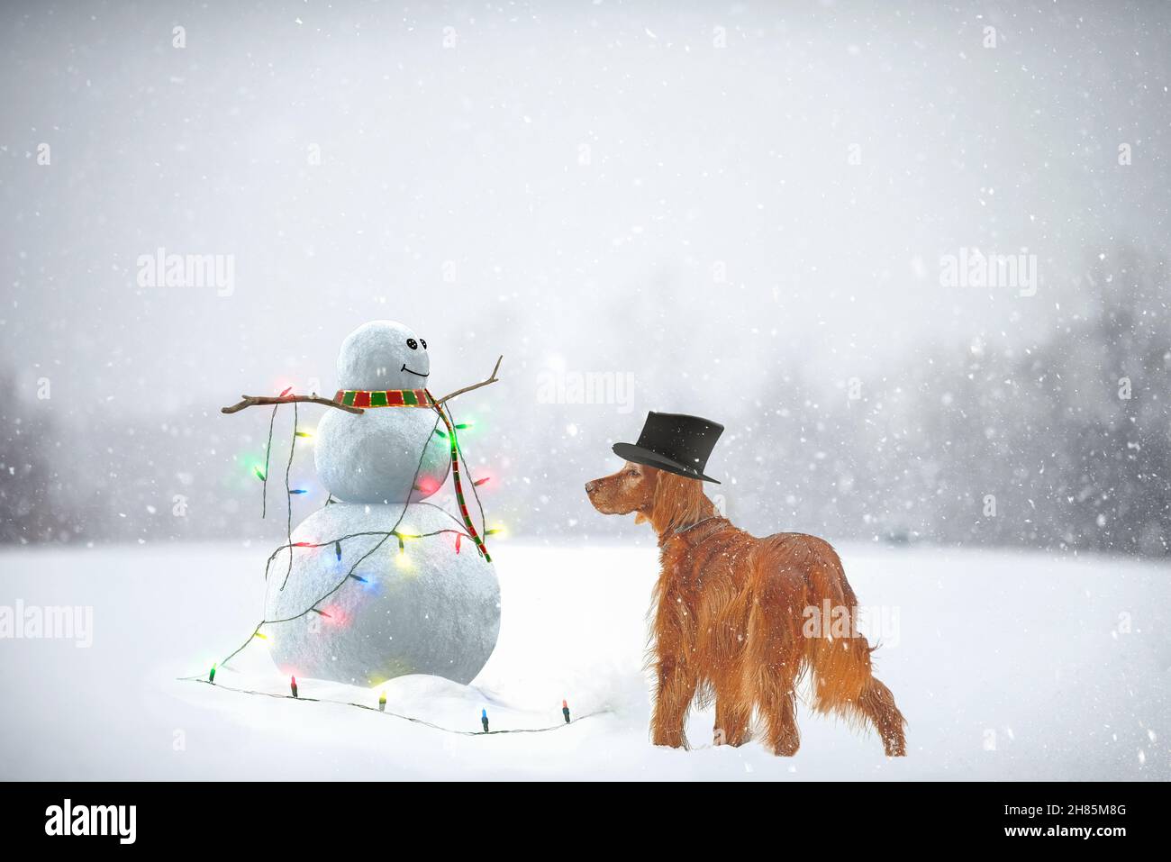 Irischer Setter-Hund, der den schwarzen Stovepipe-Hut des Schneemanns in Schneeflocken trägt Stockfoto
