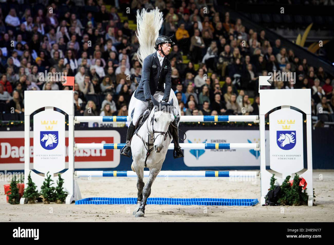 Ben Maher aus Großbritannien auf dem Pferd Ne - Präsident Van Koekshof während des internationalen Springturnierens auf der Sweden International Horse Show in der Friends Arena in Solna, Stockholm, Schweden, am 27. November 2021. Foto: Erik Simander / TT / kod 11720 Stockfoto