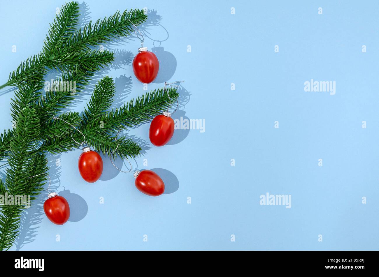 Tannenzweige mit Kirschtomaten als Weihnachts- oder Neujahrsdekoration auf pastellblauem Hintergrund. Kreatives Design für Webbanner oder -Karten oder Einladungen. Stockfoto