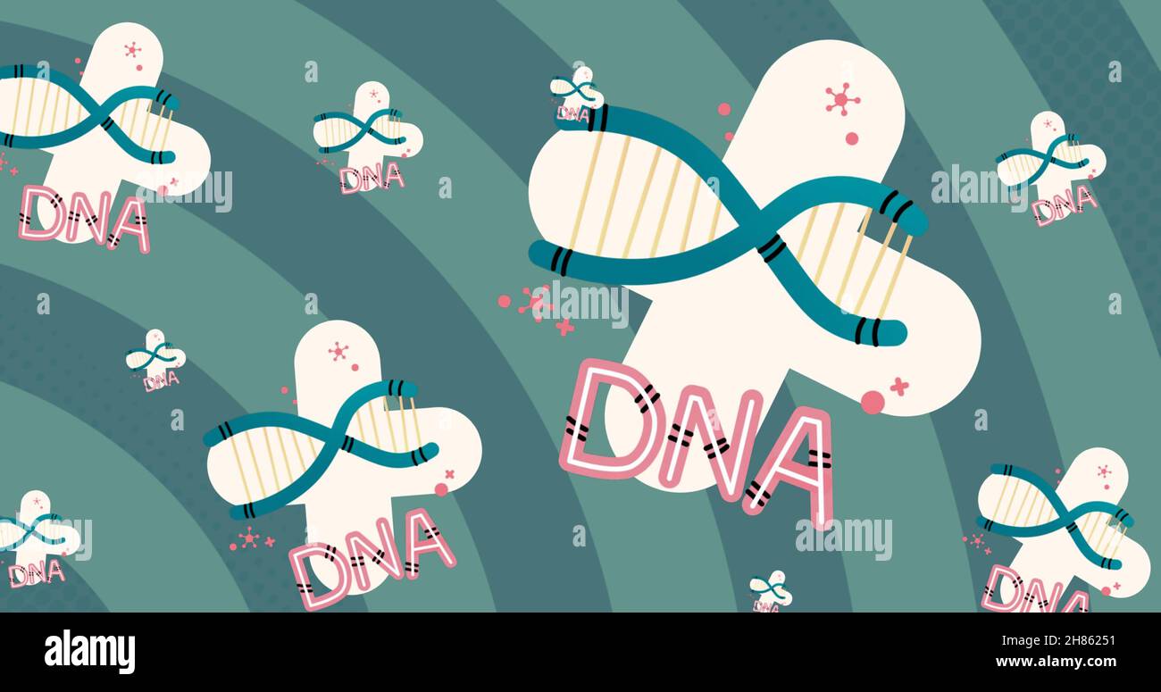 Digitales Bild von mehrfachem dna-Text und Strukturen vor grünem Spiralhintergrund Stockfoto