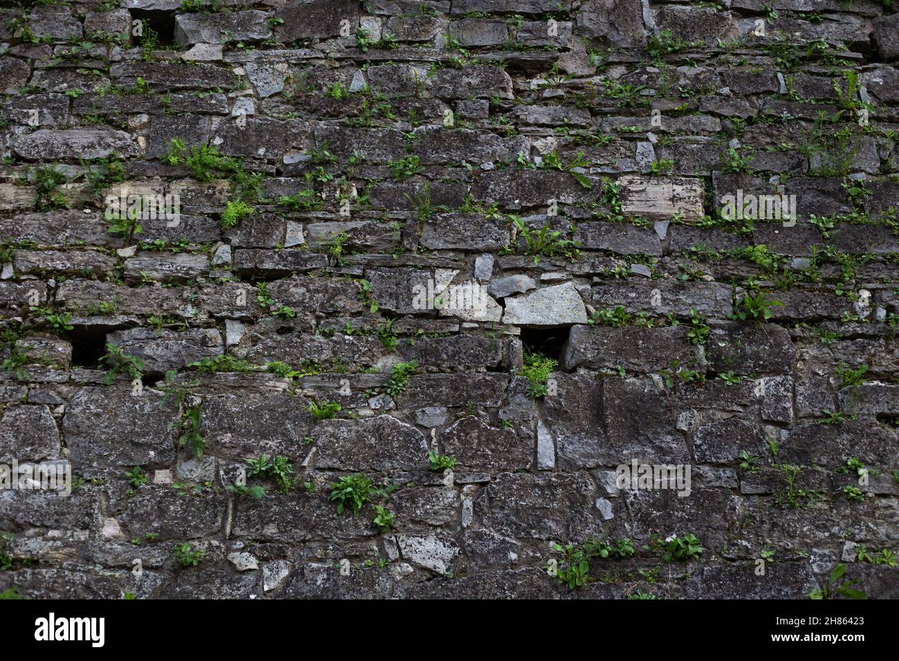 Hintergrundstruktur aus altem Stein Stockfoto