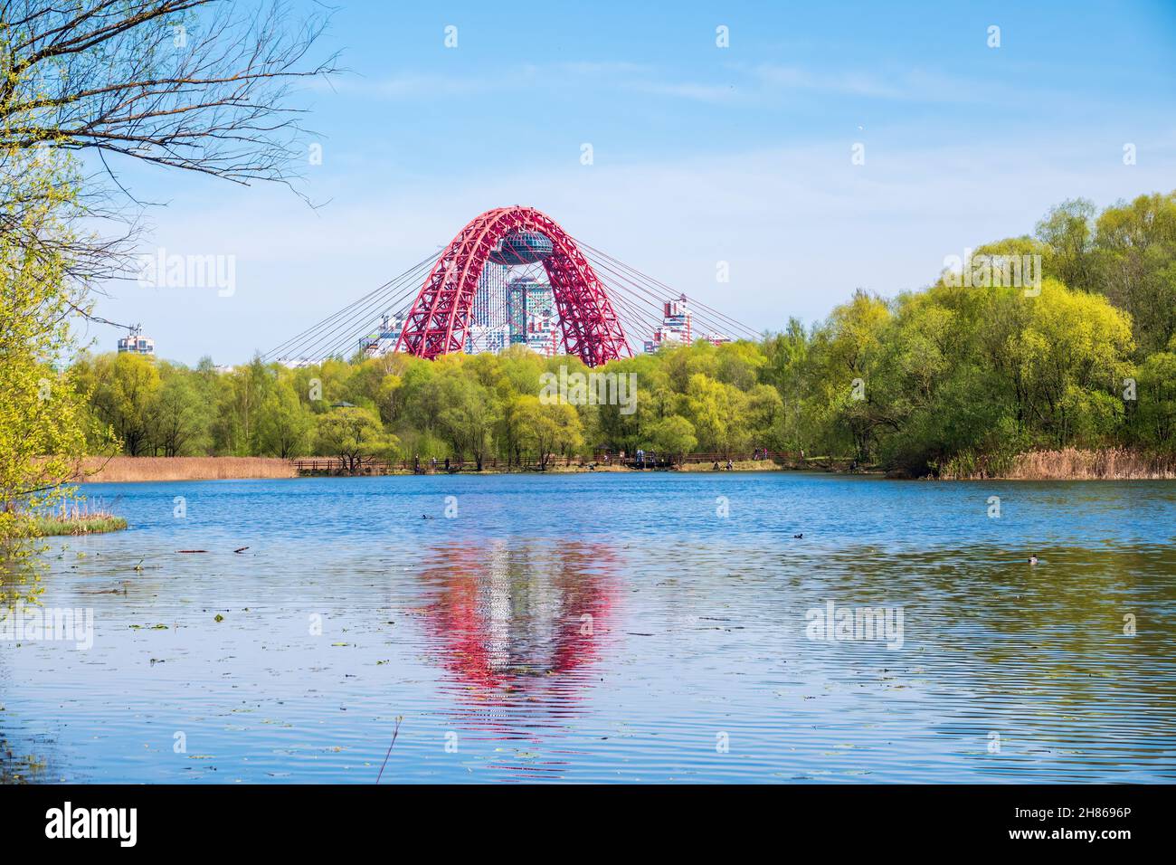 Blick auf die Zhivopisny-Brücke von Serebryany Bor. Grüne russische Natur im Frühling Moskau, Serebryany Bor und Schiwopisny Brücke Stockfoto