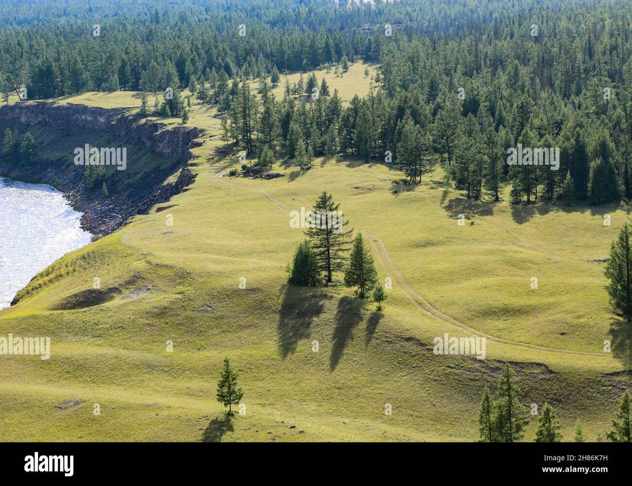 Blick von oben auf die Straße zwischen der Taiga entlang des Bergflusses. Plüsch-Oberfläche aus Hochplateau und Lärche. Stockfoto