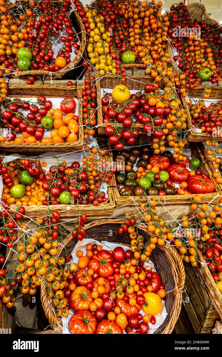 Verschiedene Sorten von Tomaten aus der ganzen Welt in einem großen bunten Display Stockfoto