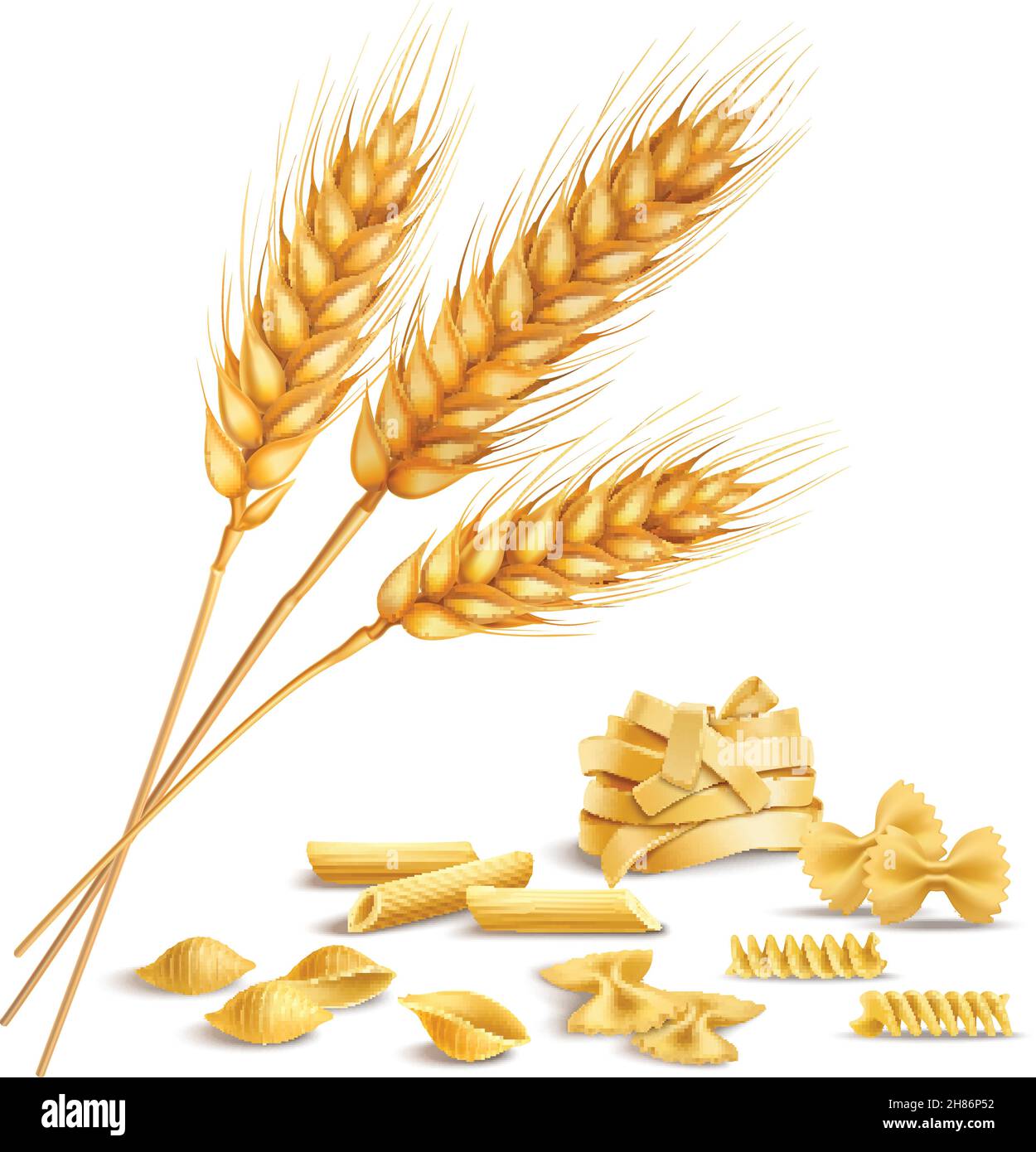 Realistische reife Weizenspikelets und Pasta einschließlich Fusilli, Farfalle, Penne Zusammensetzung auf weißem Hintergrund Vektor-Illustration Stock Vektor