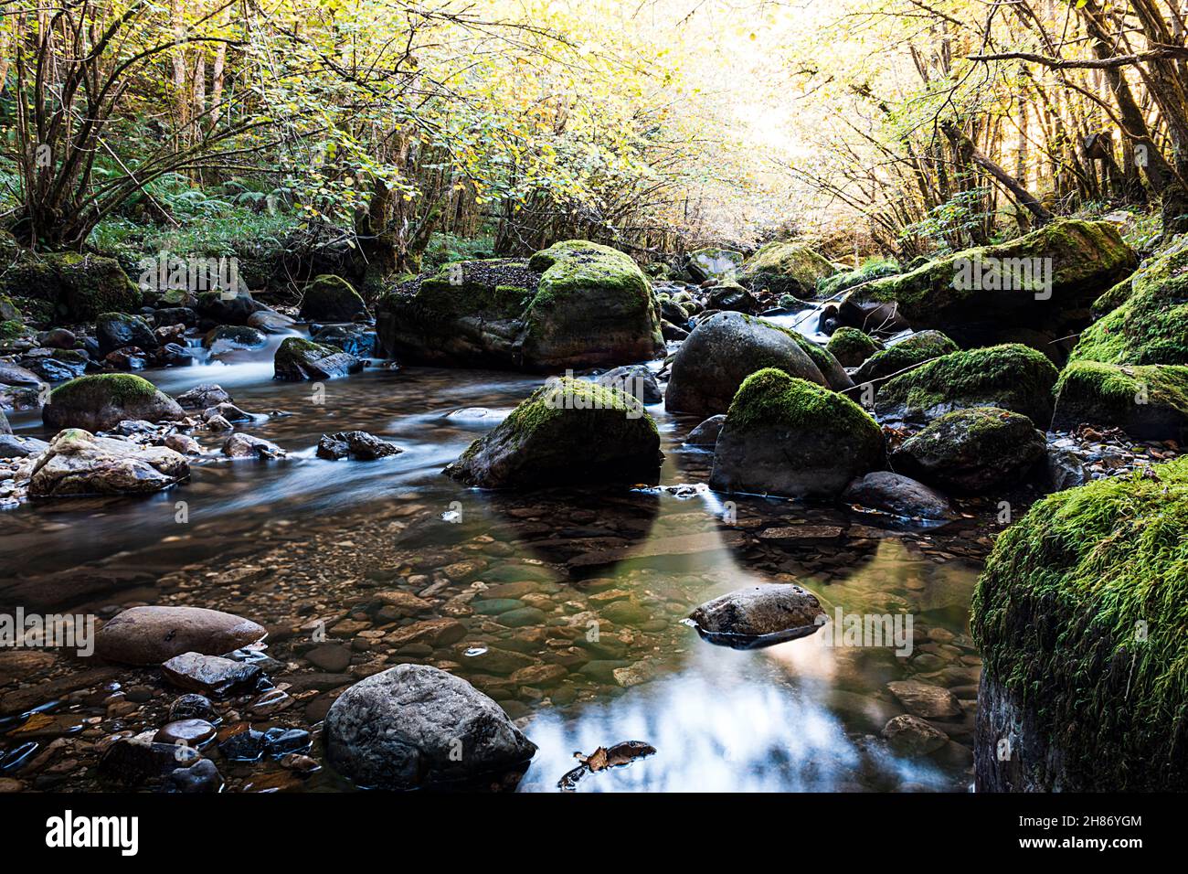 Natürliche Landschaft eines Flusses auf der Alba-Route im rat von Sobrescobio, Asturien.Foto im horizontalen Format mit dem seidigen Wasser effe aufgenommen Stockfoto