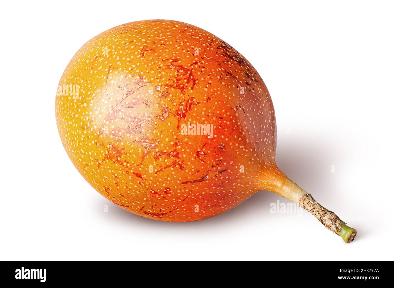 Ganzer Tamarillo horizontal isoliert auf weißem Hintergrund Stockfoto