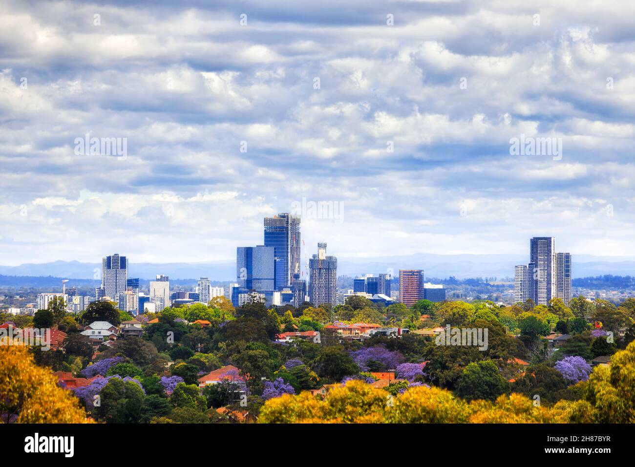 Baumkronen von grünen Wohnvororten im Westen Sydneys rund um Parramatta CBD an einem bewölkten Frühlingstag sind Hochhäuser. Stockfoto