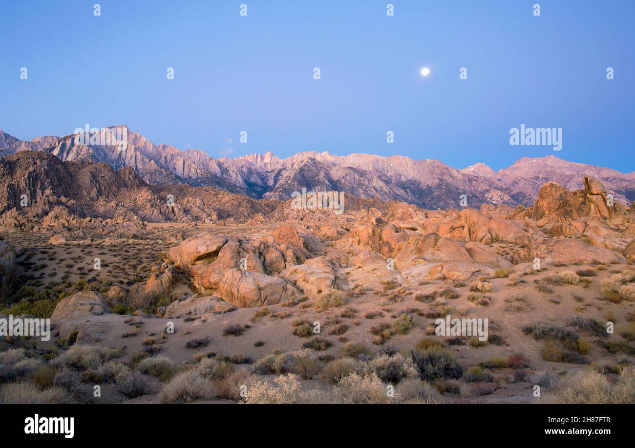 Alabama Hills National Scenic Area, Lone Pine, Kalifornien, USA. Blick bei Mondschein über felsige Landschaft auf Mount Whitney und die Sierra Nevada, Sonnenaufgang. Stockfoto