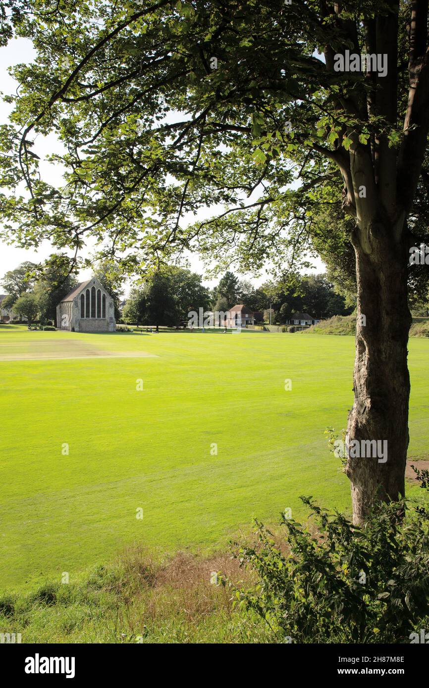 Landschaft des chichester Priorateparks mit dem Guildhall-Gebäude im Hintergrund Stockfoto