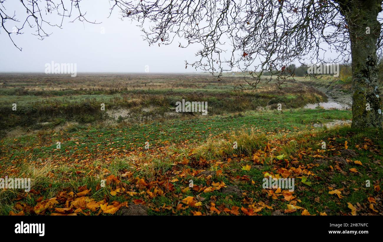 Somme-Bucht, Saint-Valery-sur-Somme, Somme, Hauts-de-France, Picardie, Nordwestfrankreich Stockfoto