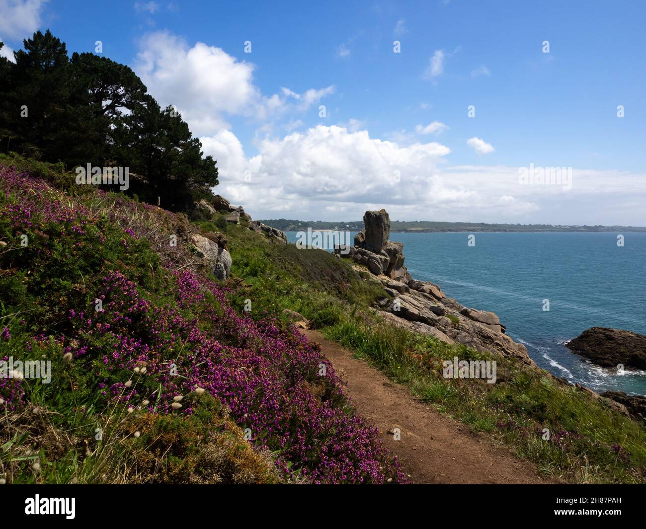 Folgen Sie dem blumigen Pfad entlang des Ozeans in der Bretagne Stockfoto