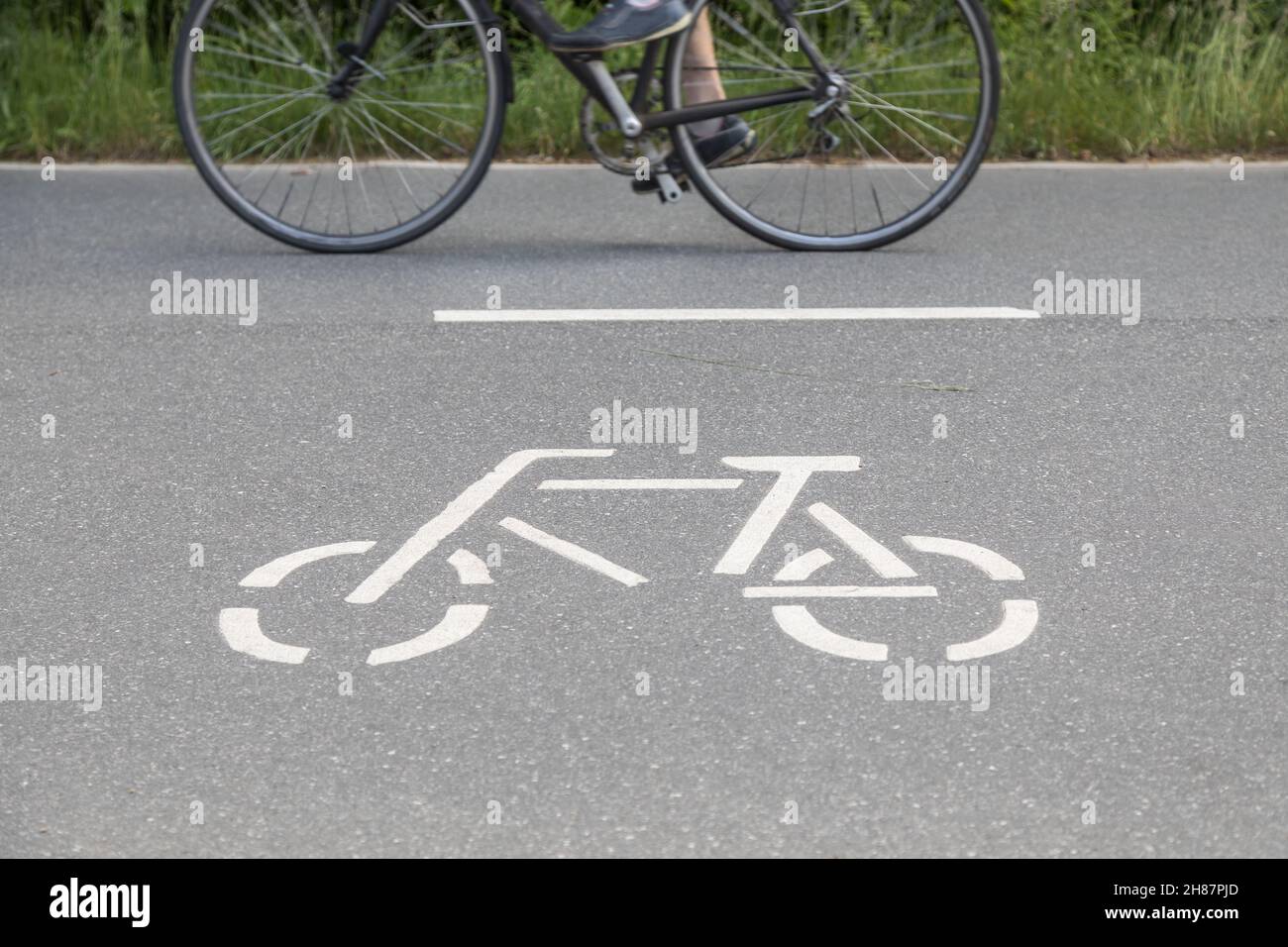 Radfahrer passiert Piktogramm auf der Fahrradstraße Stockfoto