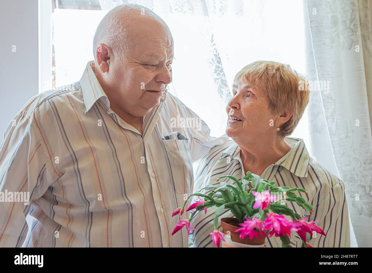 Ältere weißhaarige kaukasische Mann großen Körperbau und ältere Dame blonde Haare schauen einander verliebt in Zimmer in der Nähe Fenster. Blühende Pflanze Stockfoto