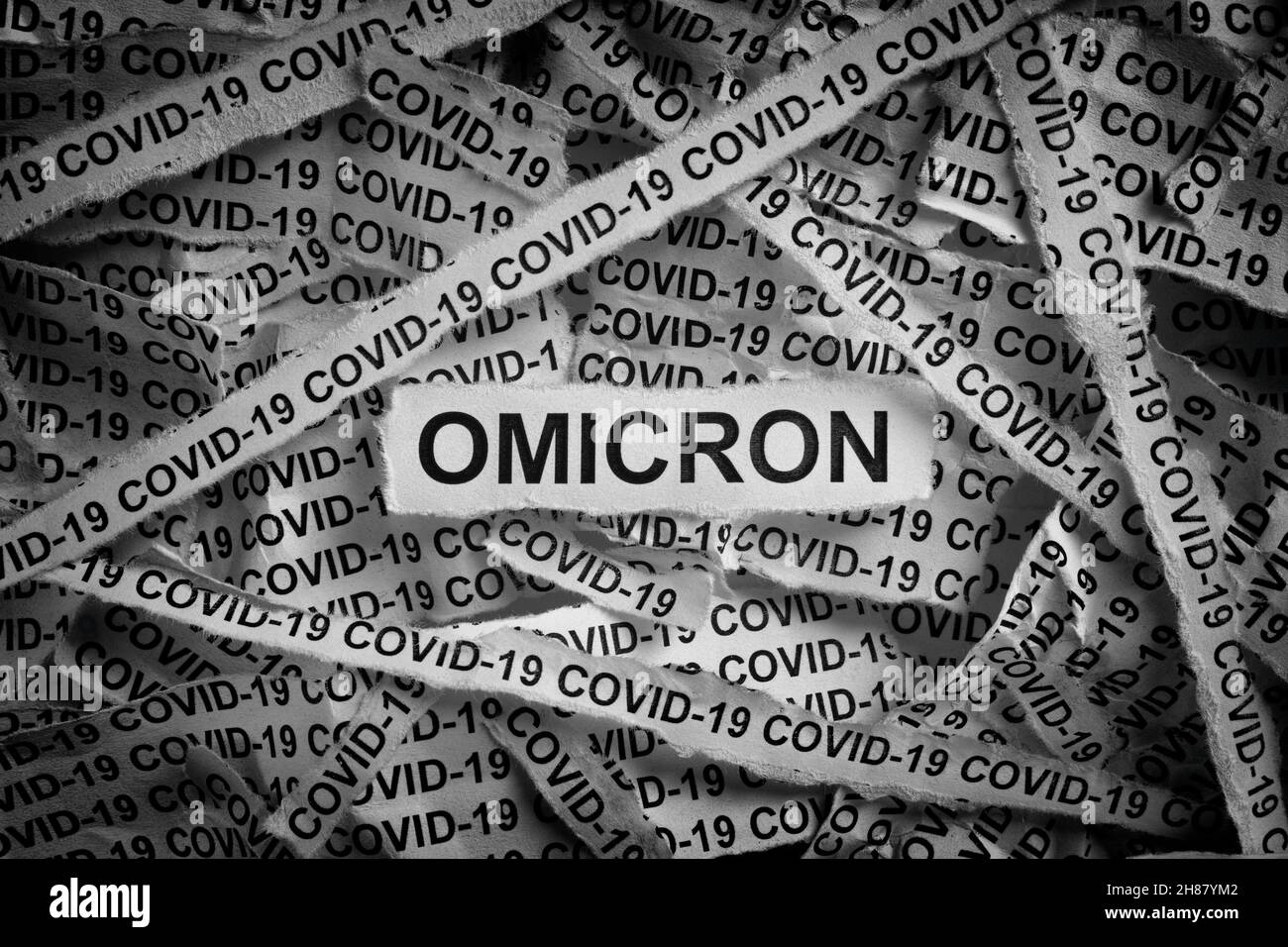 Die Streifen der Zeitung mit den Wörtern Omicron und Covid-19 haben auf ihnen getippt. Omicron-Variante von COVID-19. Schwarz und Weiß. Nahaufnahme. Stockfoto