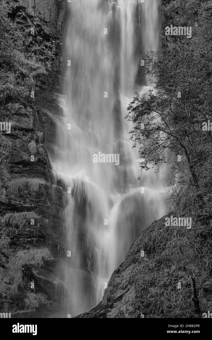 Schwarz und Weiß wunderschöne Landschaft mit langer Belichtung im Frühherbst Bild des Pistyll Rhaeader Wasserfalls in Wales, dem höchsten Wasserfall in Großbritannien Stockfoto