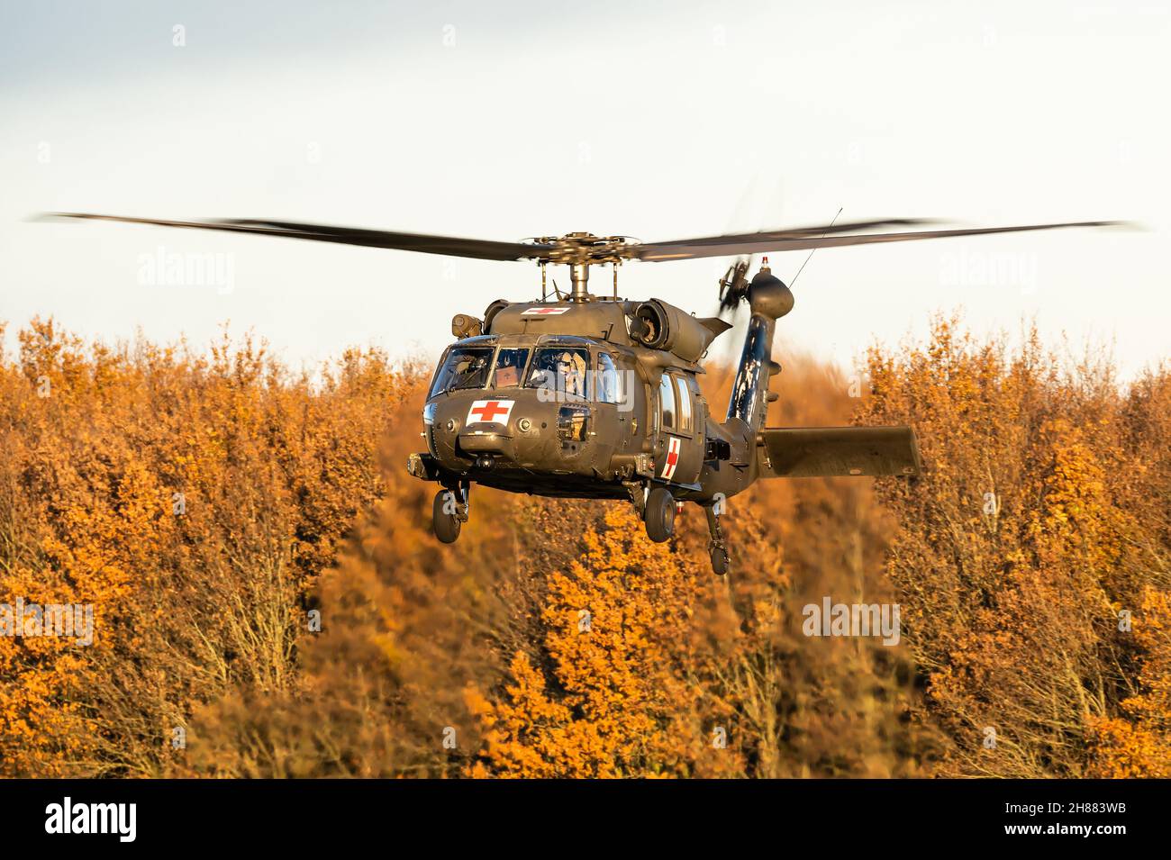 Ein zweimotoriger Utility-Hubschrauber der US-Armee auf dem Luftwaffenstützpunkt Gilze-Rijen, Niederlande, Sikorsky UH-60 Black Hawk. Stockfoto