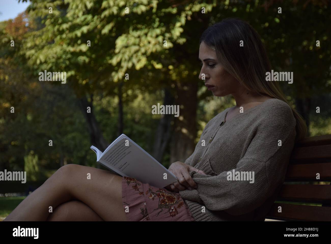 Frau, die während eines sonnigen Tages ein Buch in einem Park liest, schaut auf eine Kamera, schaut auf ein Buch, sitzt auf einer Bank, an einem Winter-, Sommertag Stockfoto