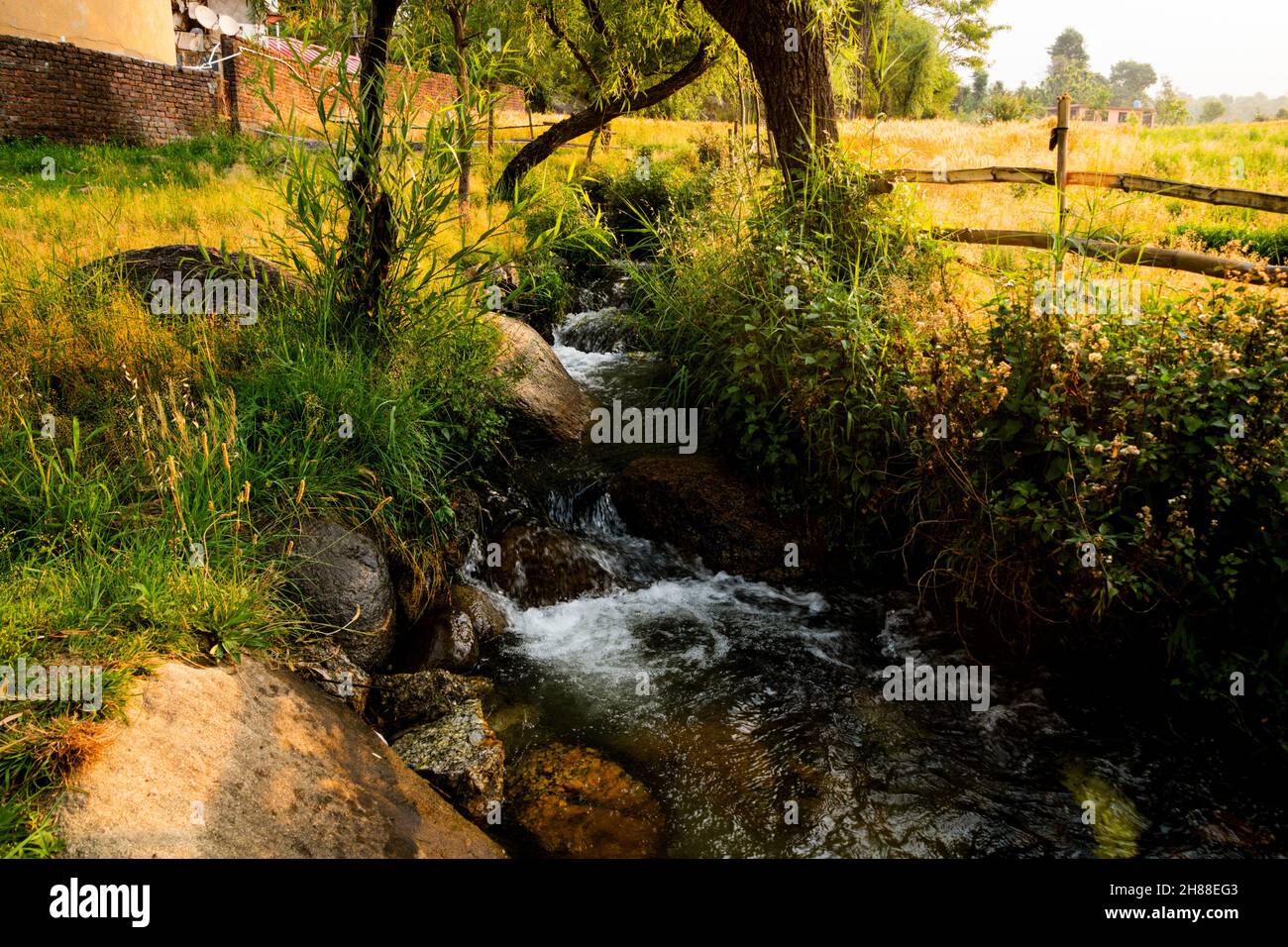 Verschiedene Ansichten von Palampur, Himachal Stockfoto