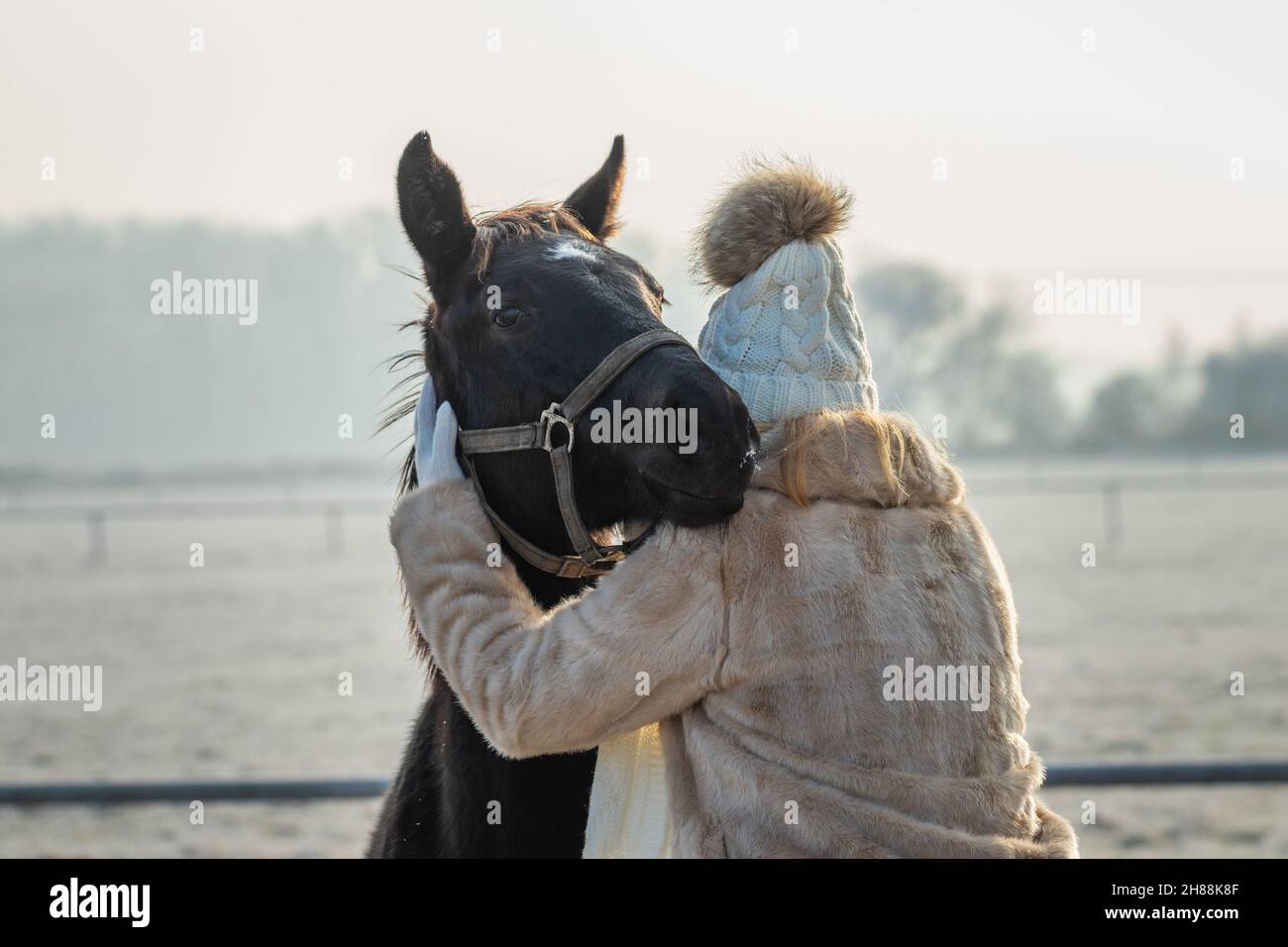 Frau umarmt junges Pferd im Winter. Freundschaft zwischen Mensch und Tier Stockfoto