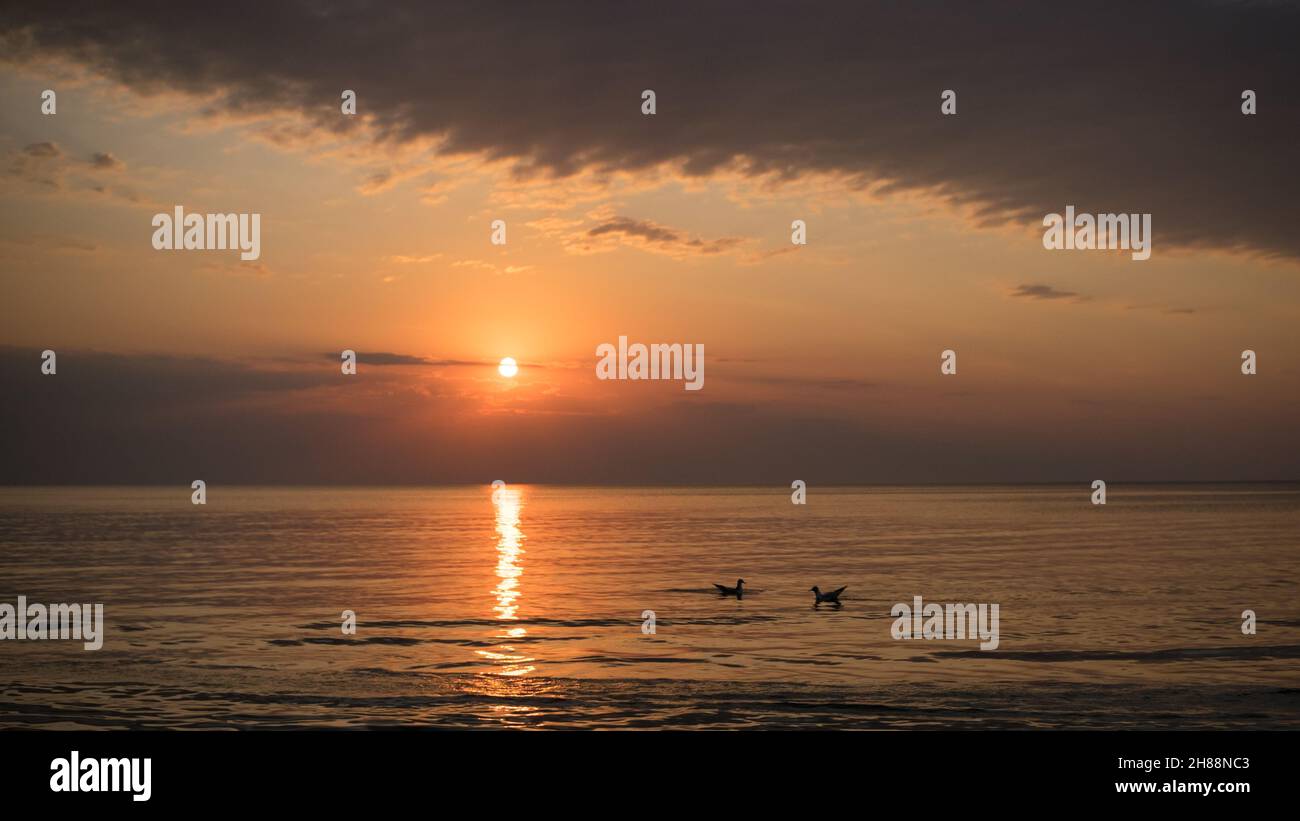 Eine Sonnenuntergangsszene über der Ostseeküste mit einer niedrigen Sonne, zwei Möwen im Wasser und einer dunklen diagonalen Wolke Stockfoto