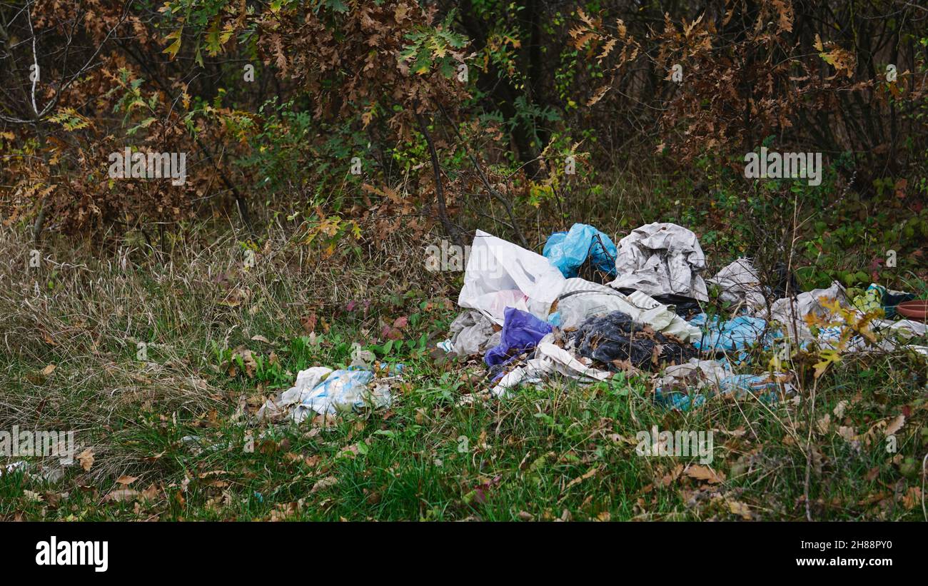 Selektive Konzentration auf den Müllhaufen im Wald rechts mit Kopierplatz links. Konzept von Klimawandel, Müll und Müll Stockfoto