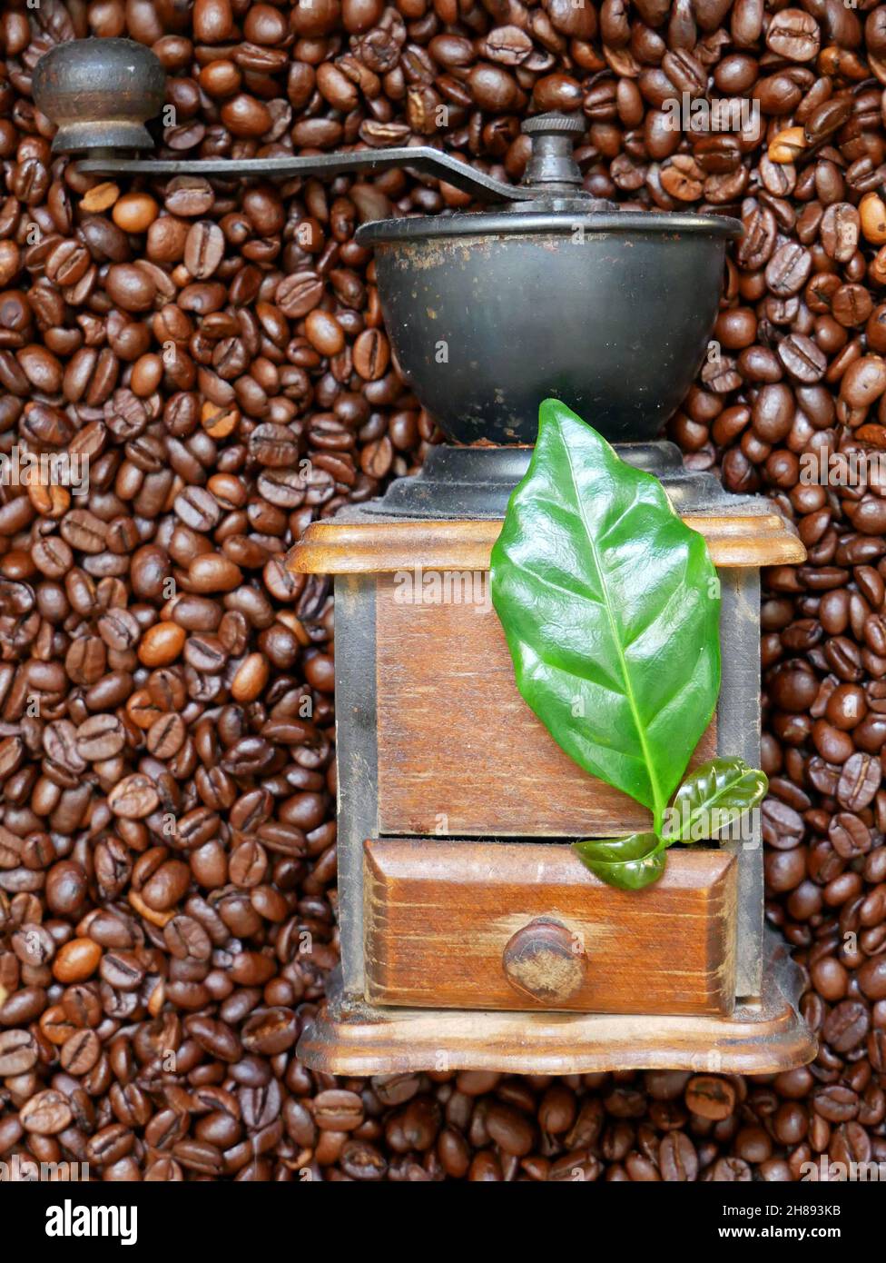 Traditionelles Mahlwerk zum manuellen Schleifen von Kaffee. Kaffeebohnen und arabica-Blätter. Stockfoto