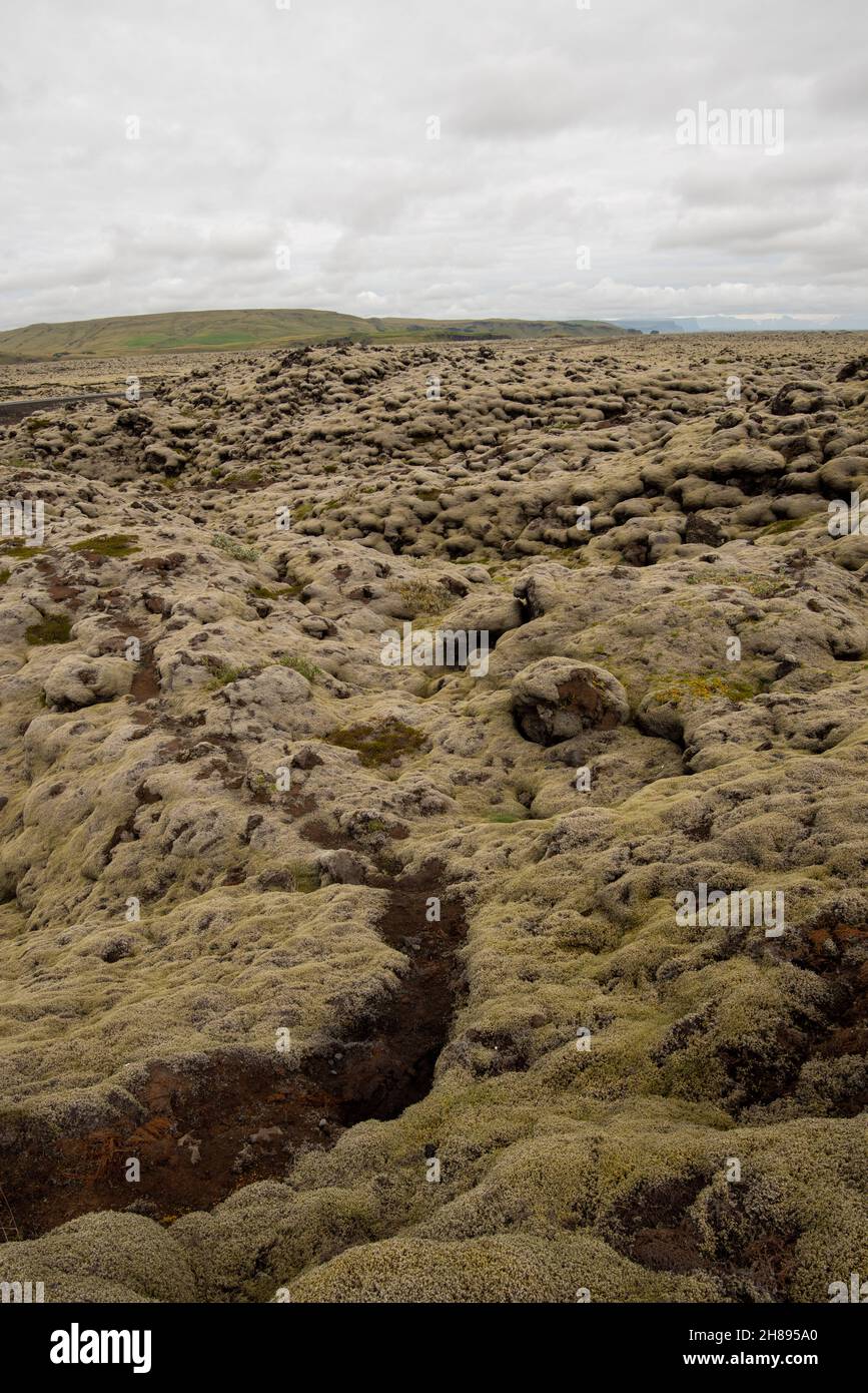 Lavafelder in island Stockfoto