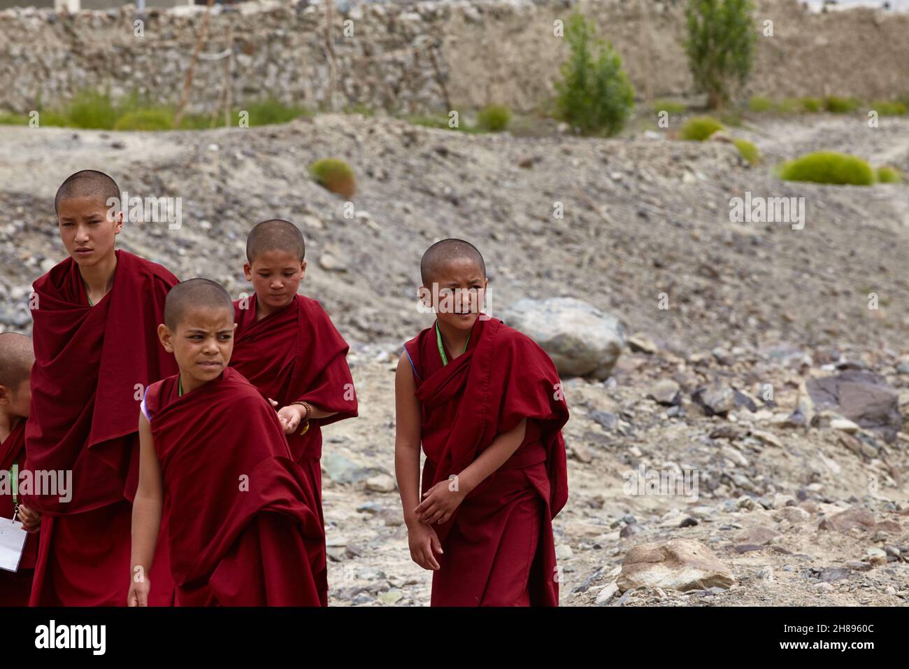 Disket, Nubra Valley. Indien. 13. Juli 2017. Junge buddhistische Mönche beim Bruch der Lehren seiner Heiligkeit des Dalai Lama 14 Stockfoto