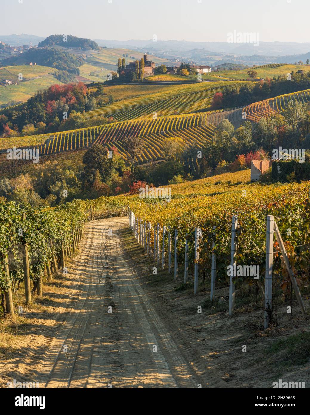 Wunderschöne herbstliche Landschaft mit dem Castello della Volta, in der region langhe im Piemont, Italien. Stockfoto