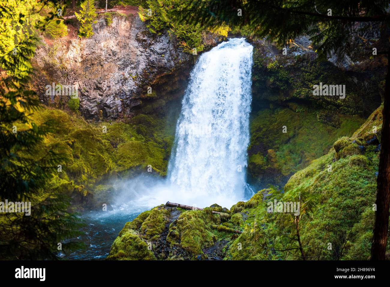 Moos und Wälder umgeben die Sahalie-Wasserfälle in Oergon Stockfoto