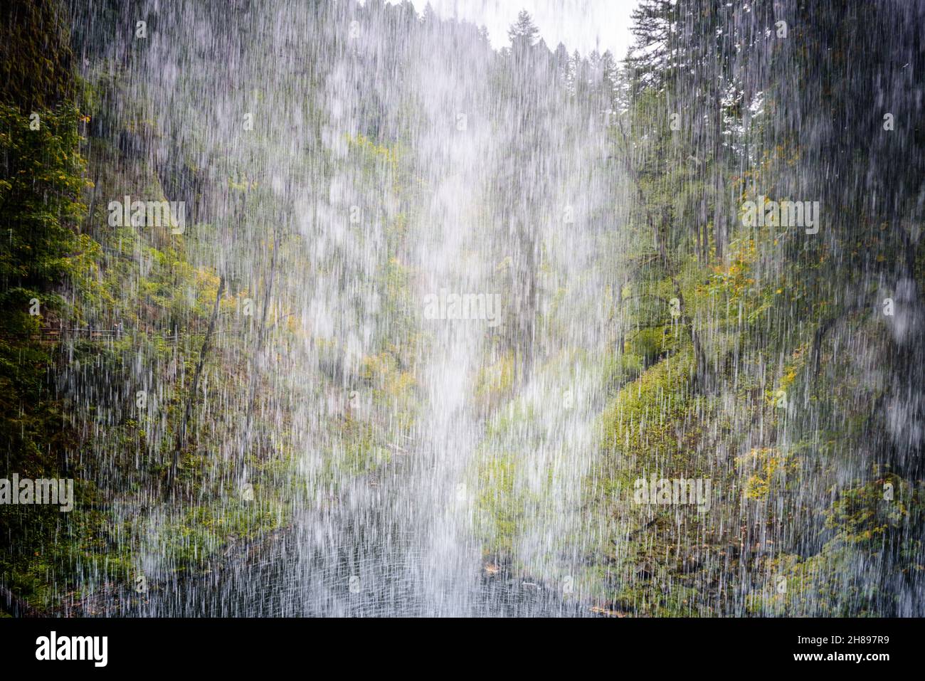 Blick von hinten auf die unteren Südstürze im Silver Falls State Park Stockfoto